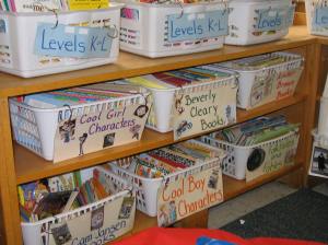 Allyson and Deanna's visually enhanced baskets enticed readers to choose in a variety of ways. 